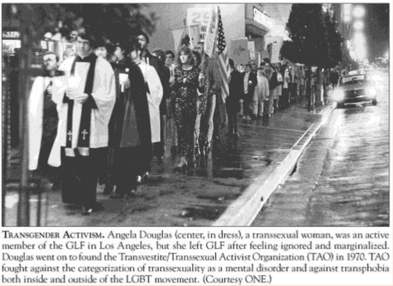 A black and white photograph of members of the Transsexual Action Organisation taking to the streets. They carry candles, placards and an American flag.